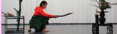 Shinbaï, le vol de l’âme