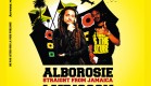 La Nuit du Reggae c’est le jeudi 11 mars !