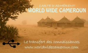 World Wide Cameroun ou l’informatique sans frontières !