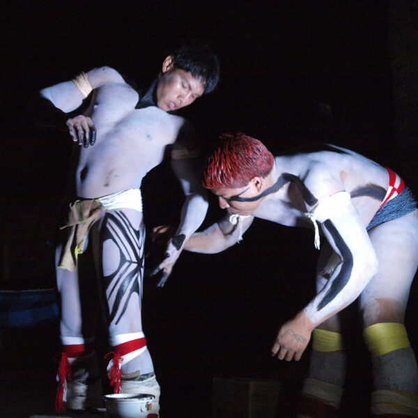 Préparation d’un rituel de passage chez les Yawalapiti d’Amazonie brésilienne. Crédit : Anako